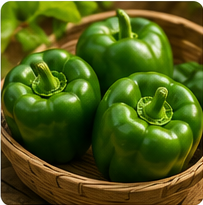 Bell Pepper