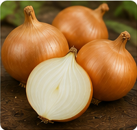 Onion